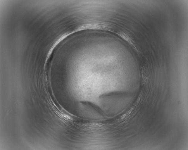 X0000056331070200509161703