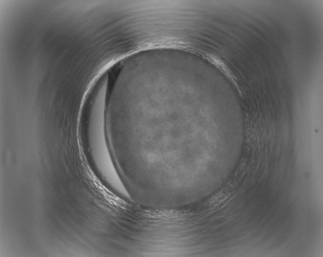 X0000056331072200509161703