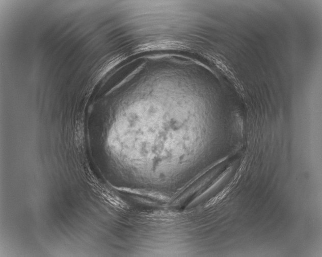 X0000056331073200509161703