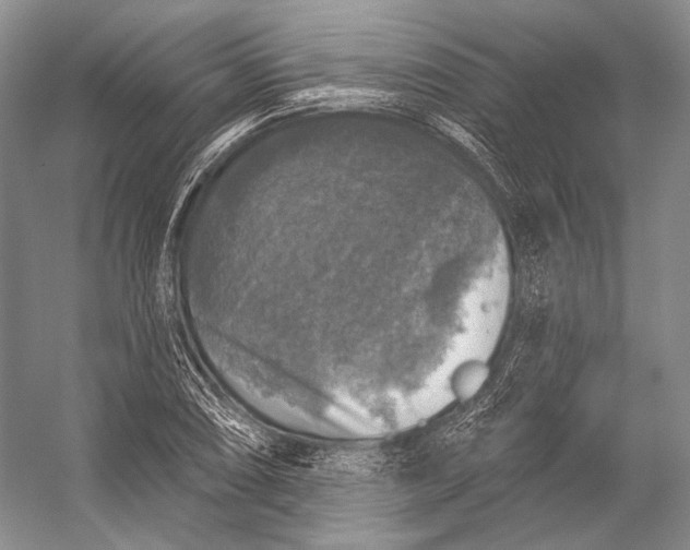 X0000056331074200509161703