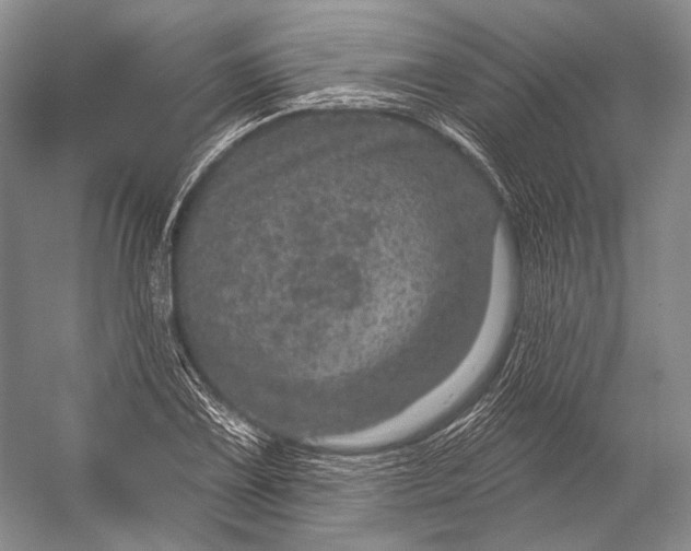 X0000056331075200509161703