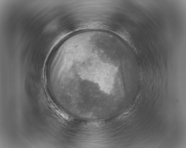 X0000056331078200509161703