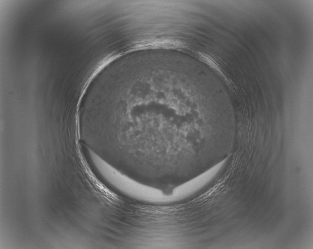 X0000056331079200509161703