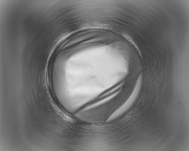 X0000056331080200509161703