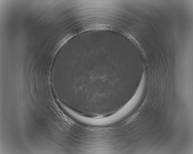 X0000056331081200509161703