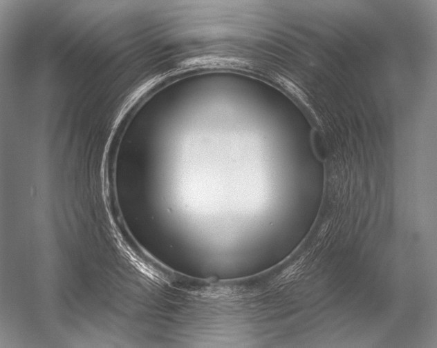 X0000056331082200509161703