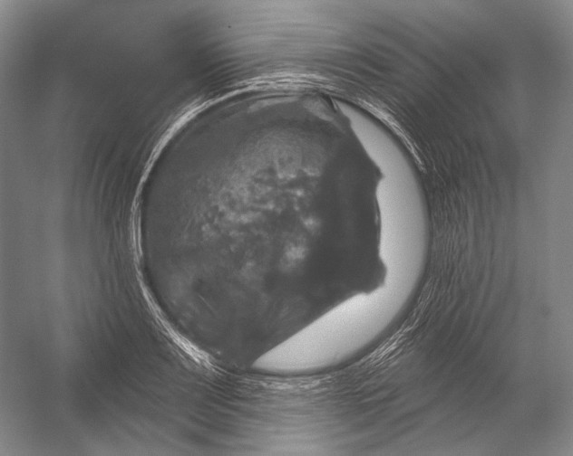 X0000056331083200509161703