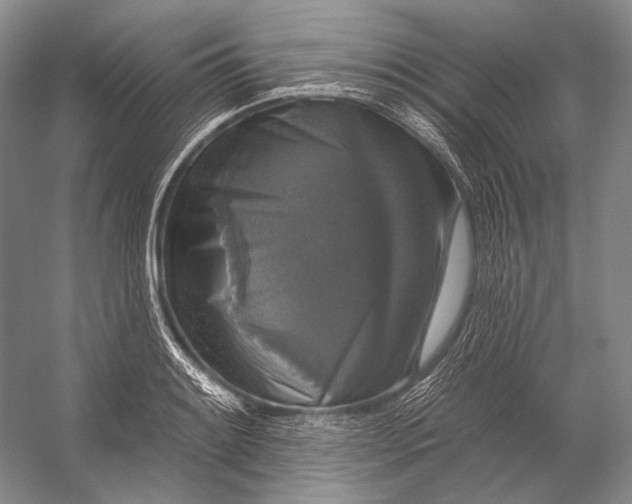 X0000056331084200509161703