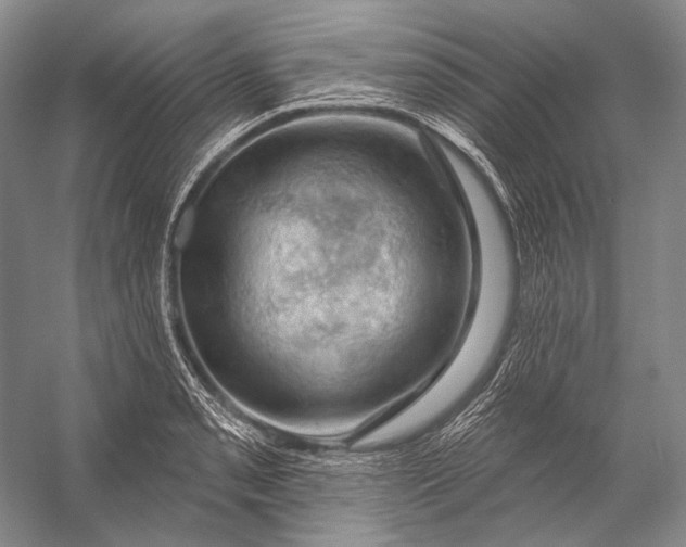 X0000056331085200509161703