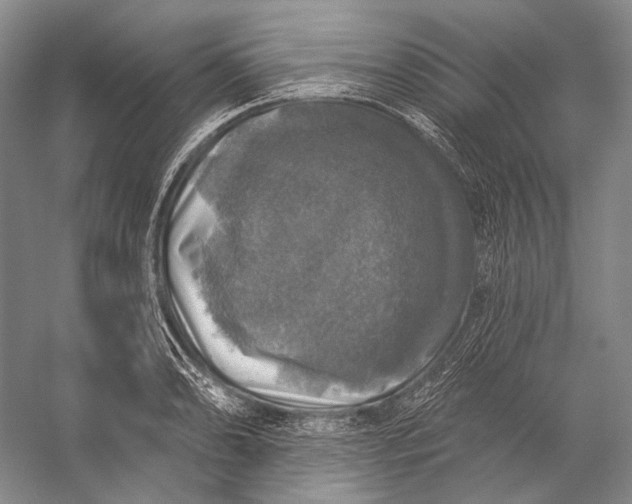 X0000056331086200509161703