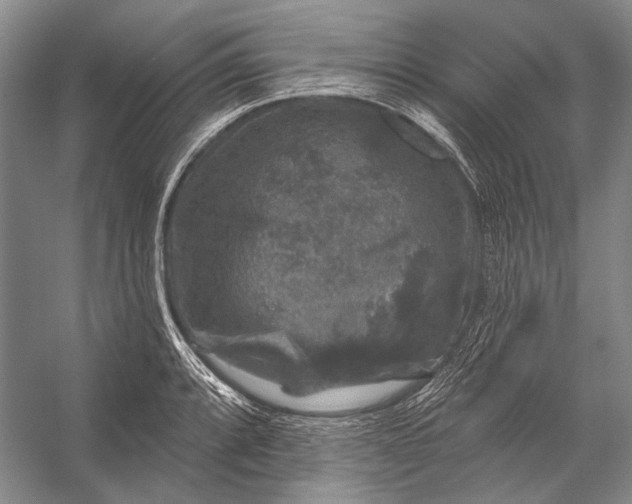 X0000056331088200509161703