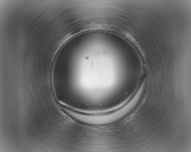 X0000056331089200509161703