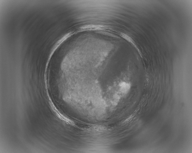 X0000056331090200509161703