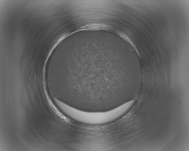 X0000056331091200509161703