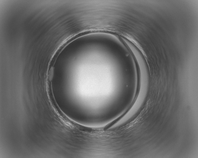 X0000056331093200509161703