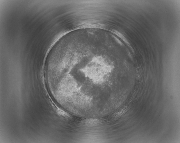 X0000056331094200509161703