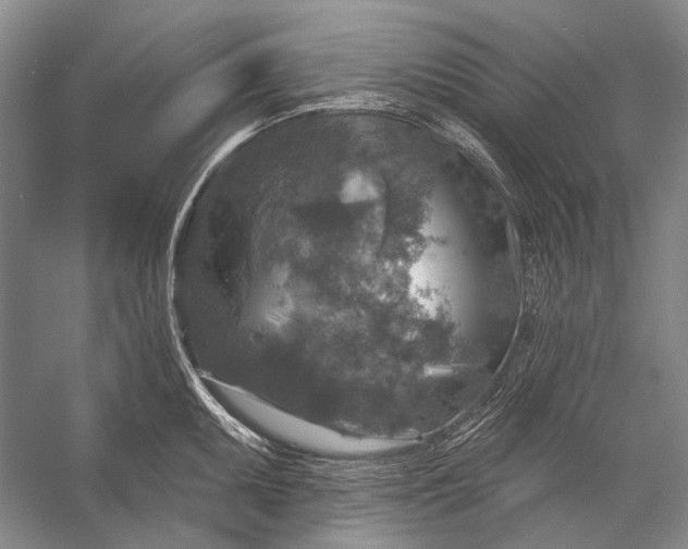 X0000056331095200509161703