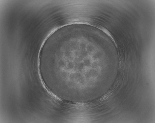 X0000056331096200509161703