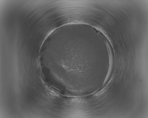 X0000056331097200509161703