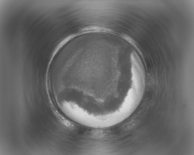 X0000056331098200509161703