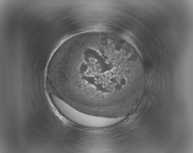 X0000056331099200509161703