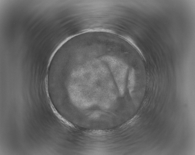 X0000056331100200509161703