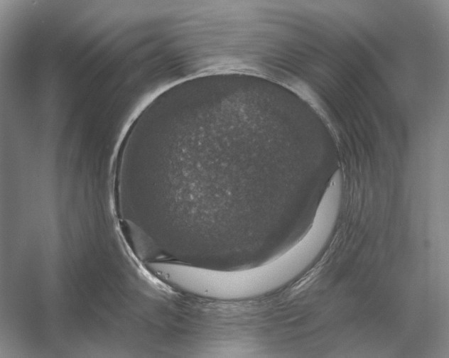 X0000056331102200509161703