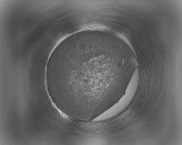 X0000056331103200509161703