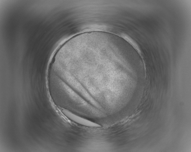 X0000056331104200509161703