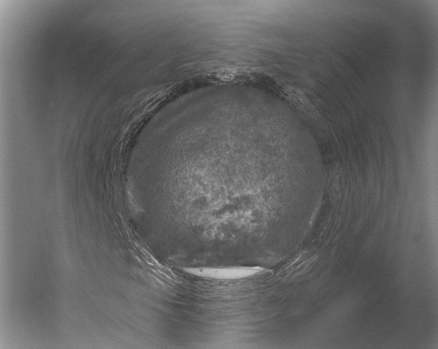 X0000056331105200509161702