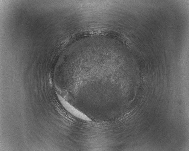 X0000056331106200509161702