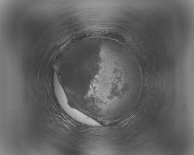 X0000056331109200509161702