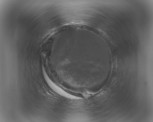 X0000056331110200509161702