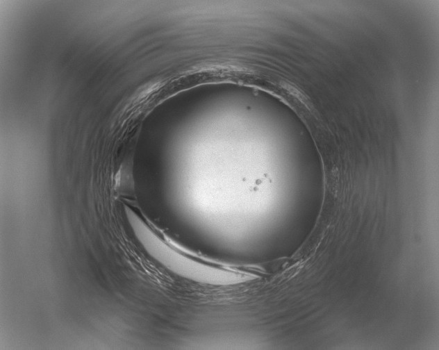 X0000056331111200509161702