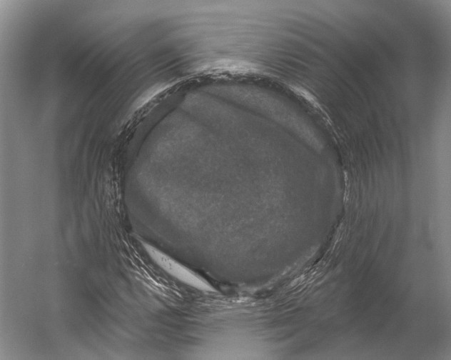 X0000056331112200509161702