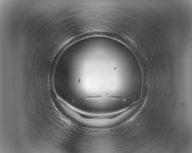 X0000056331113200509161702