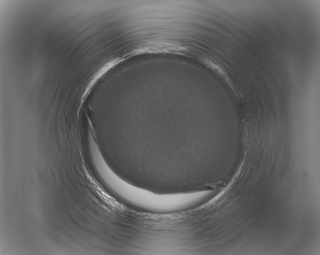 X0000056331114200509161702