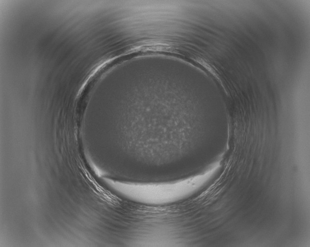 X0000056331115200509161702