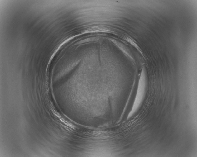 X0000056331116200509161702