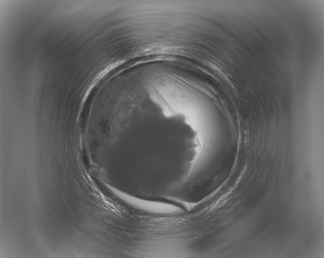 X0000056331117200509161702