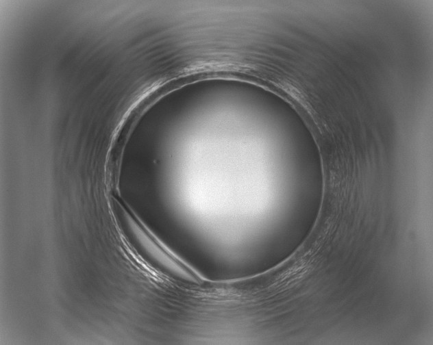 X0000056331119200509161702