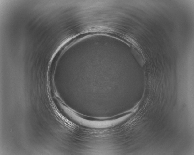 X0000056331120200509161702