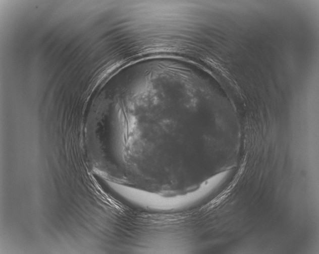 X0000056331121200509161702