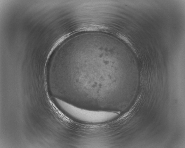 X0000056331122200509161702