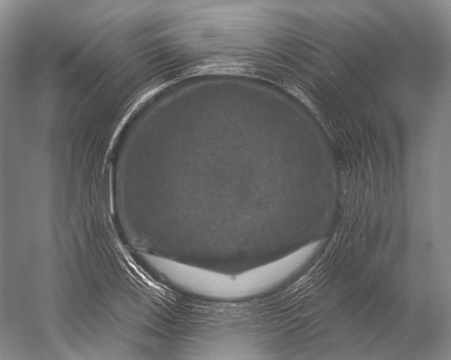 X0000056331123200509161702