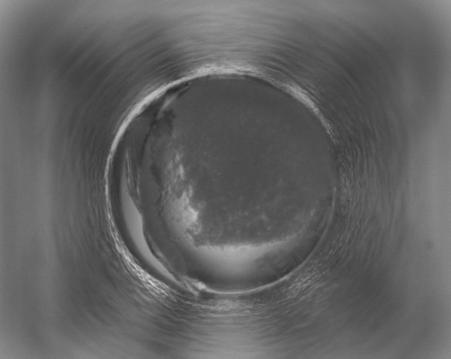 X0000056331124200509161702