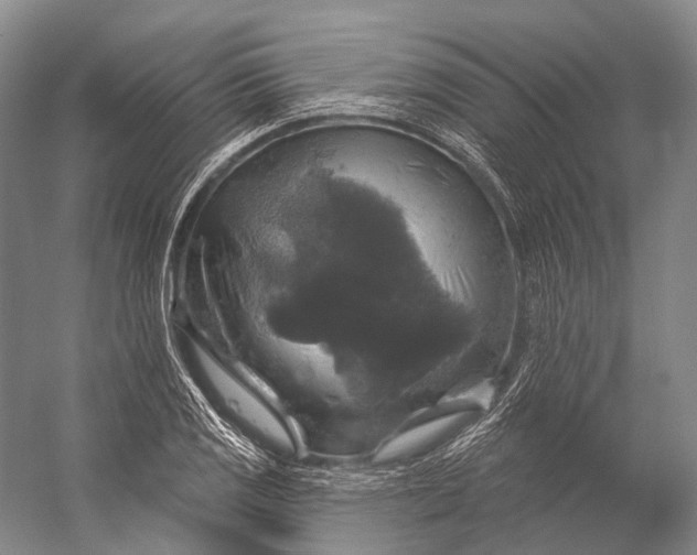 X0000056331125200509161702