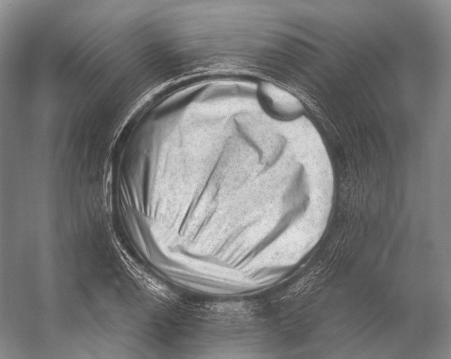 X0000056331126200509161702