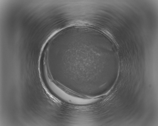 X0000056331128200509161702