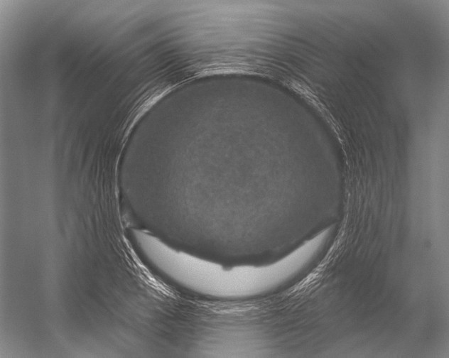 X0000056331129200509161702